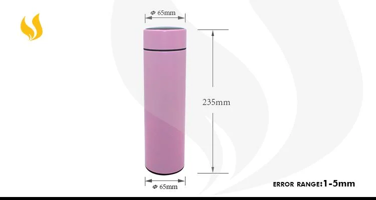 Smart Water Bottle Stainless Steel Vacuum Flask with LED Temperature Display